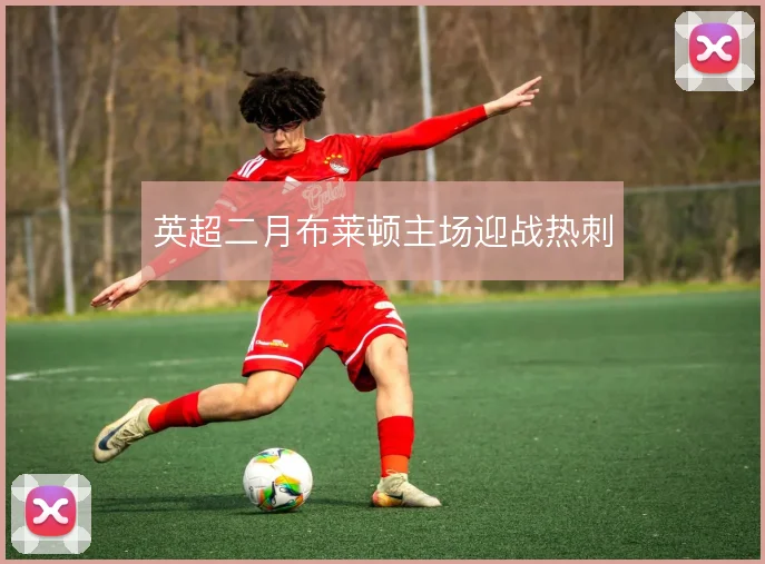 英超二月布莱顿主场迎战热刺