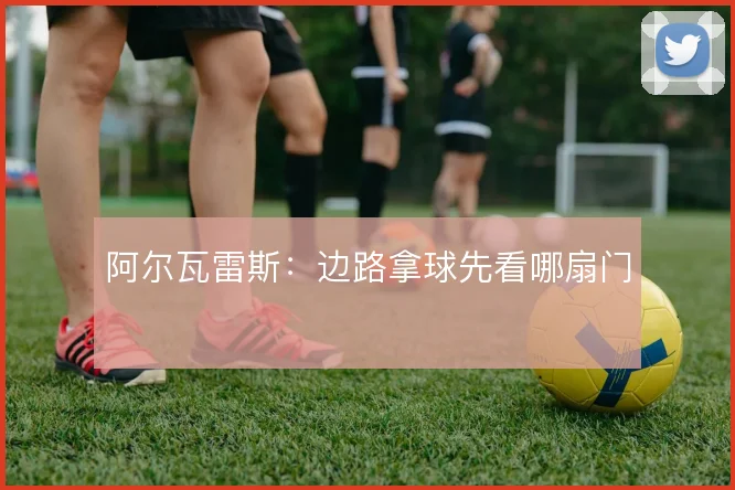 阿尔瓦雷斯:边路拿球先看哪扇门